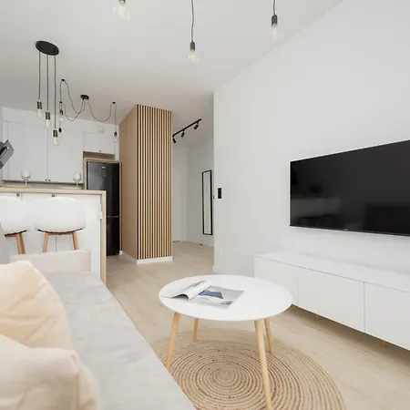 公寓 Stylish With Parking By Renters 华沙